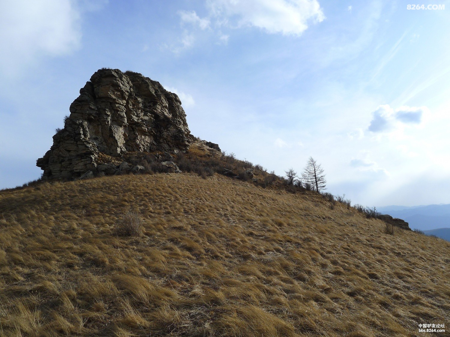 歪头山 - 8264.com