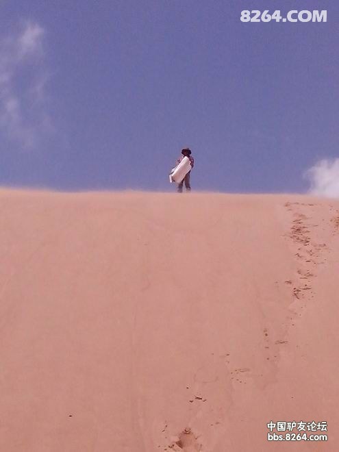 ��ת IMG_20130511_115148.jpg