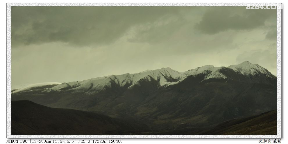 DSC_1395.JPG