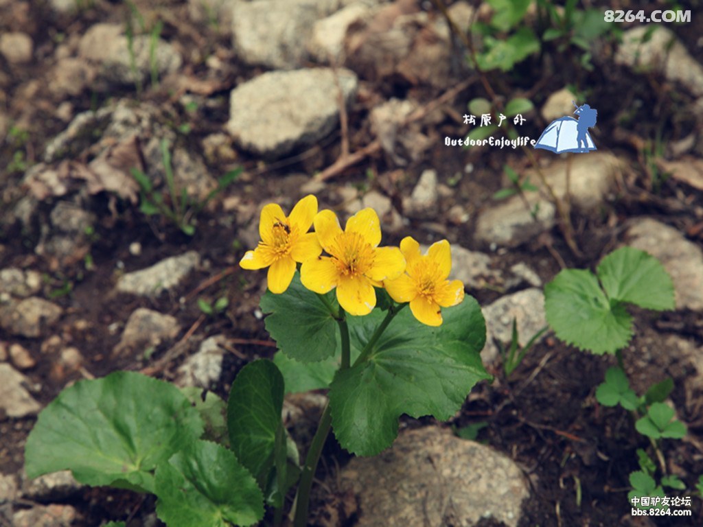 IMG_3165_副本.jpg