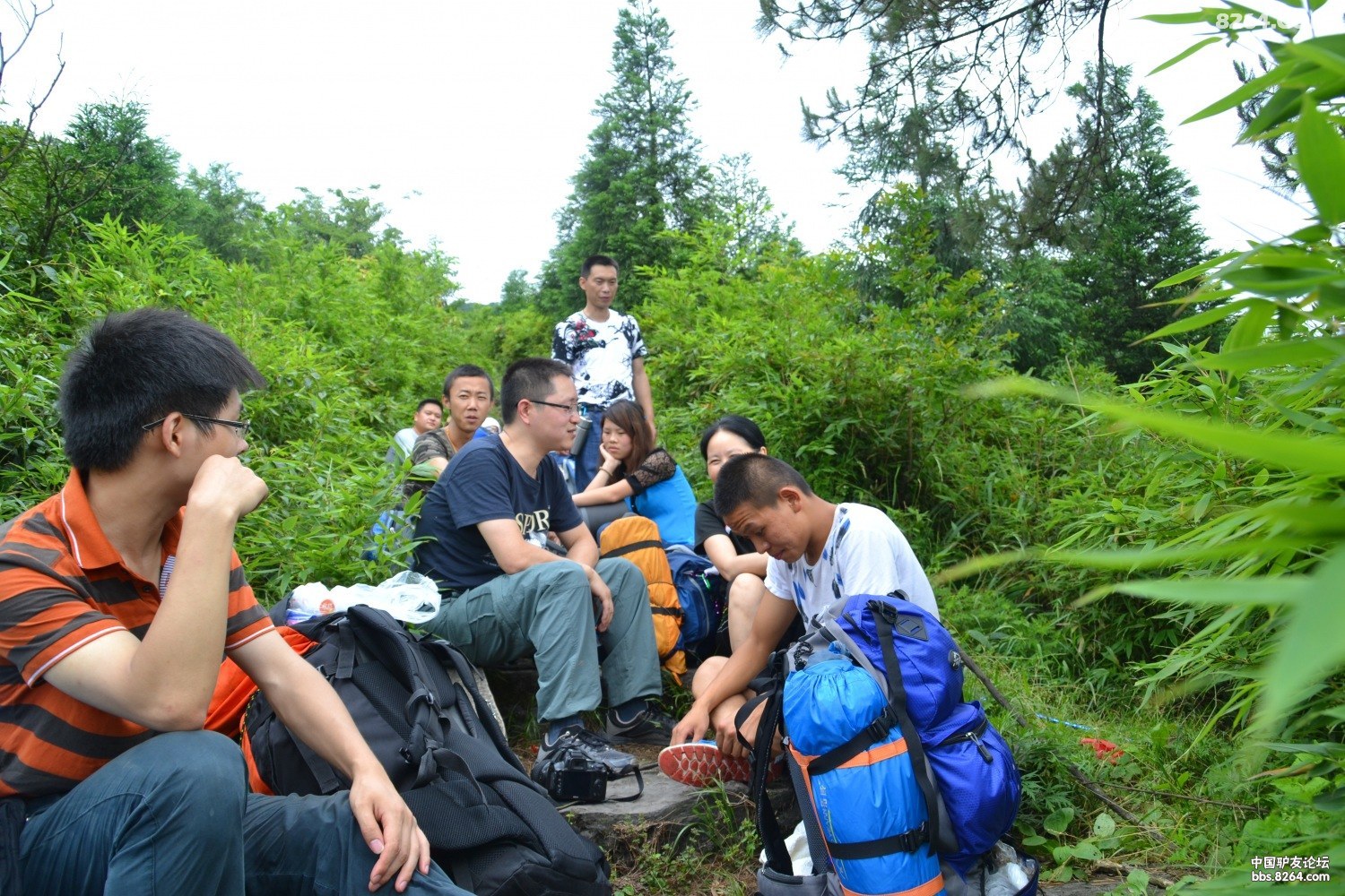 DSC_0232.JPG