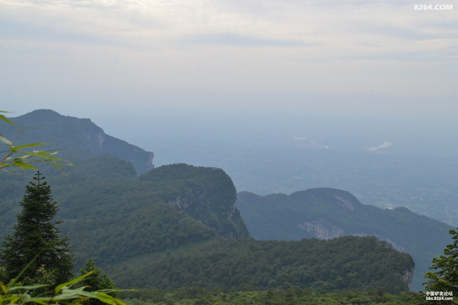 DSC_0234.JPG