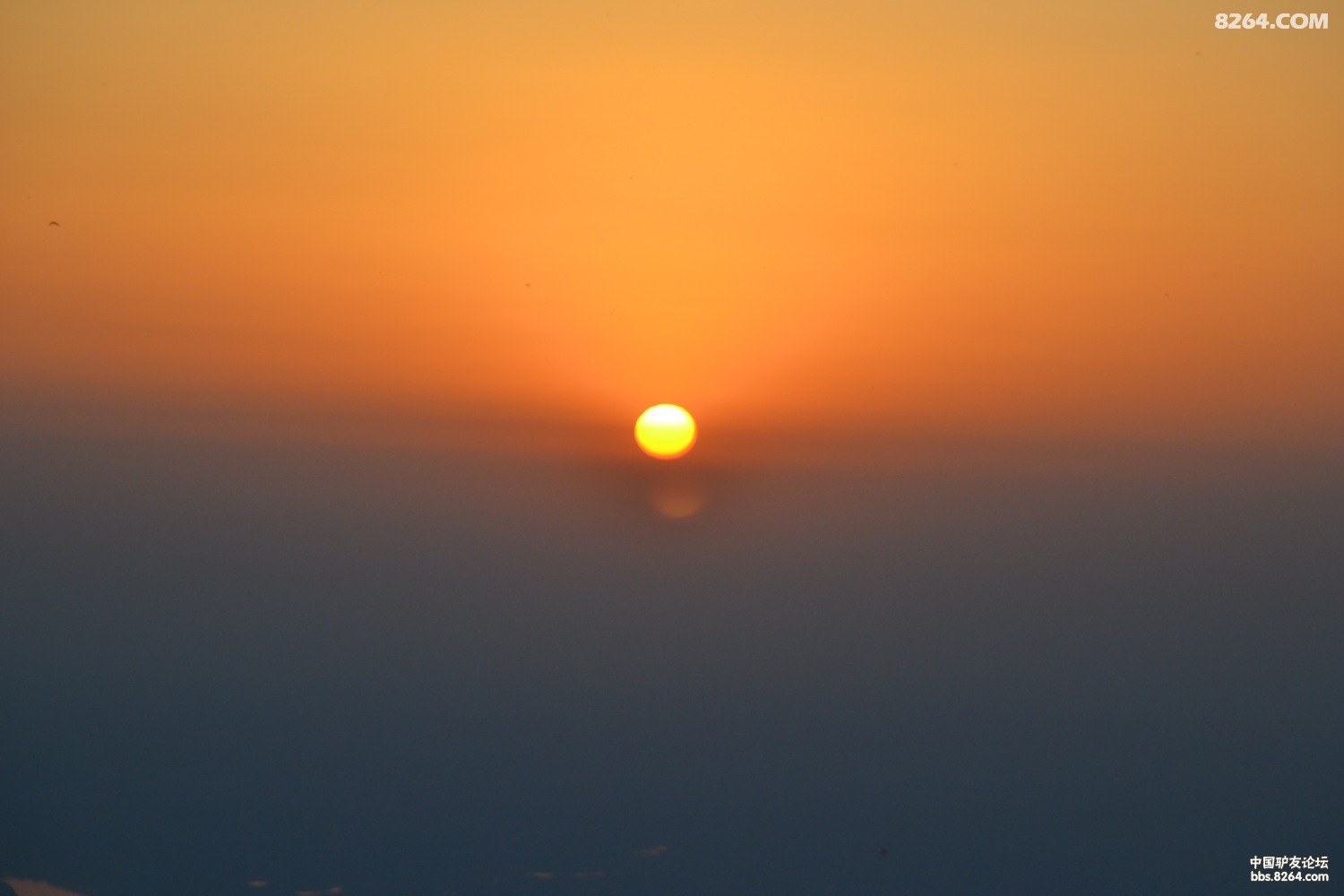 DSC_0381.JPG