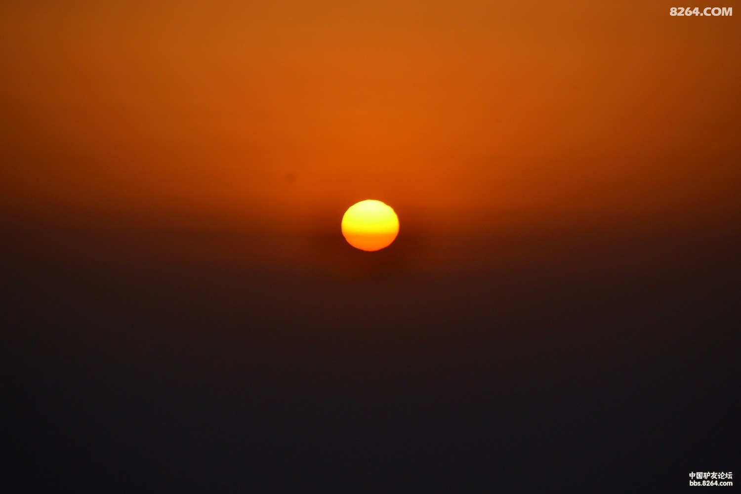 DSC_0378.JPG