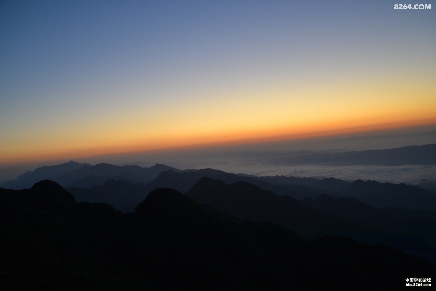 DSC_0422.JPG