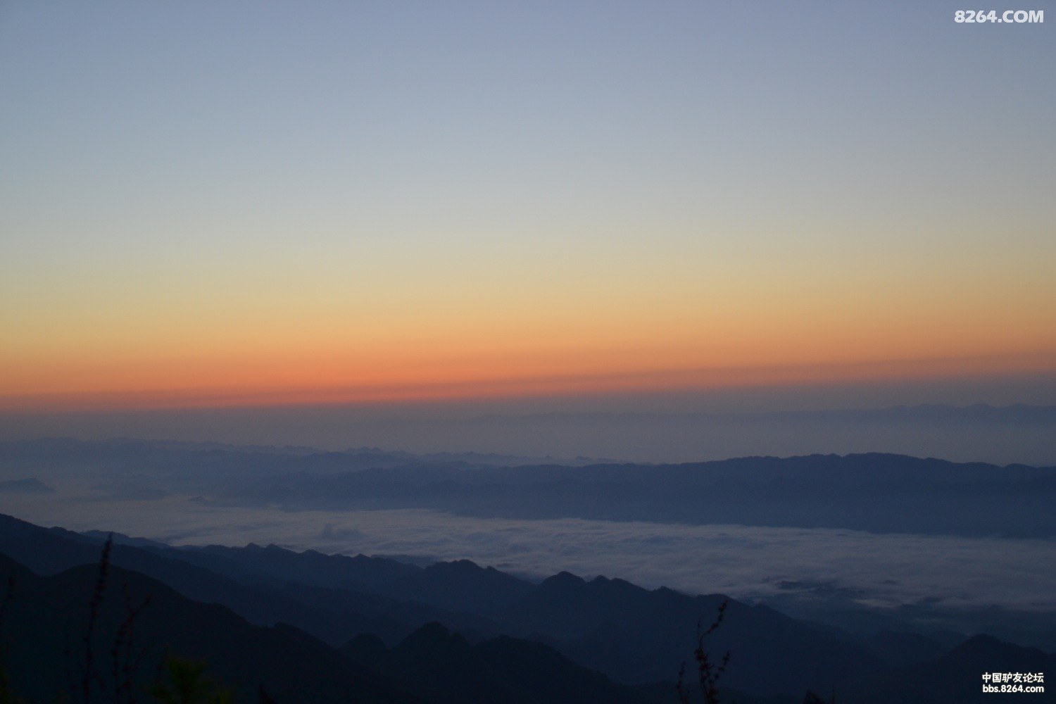 DSC_0436.JPG