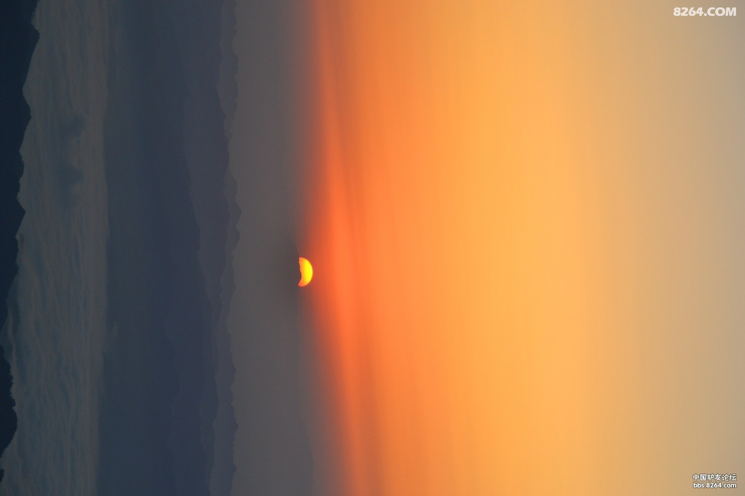 DSC_0473.JPG