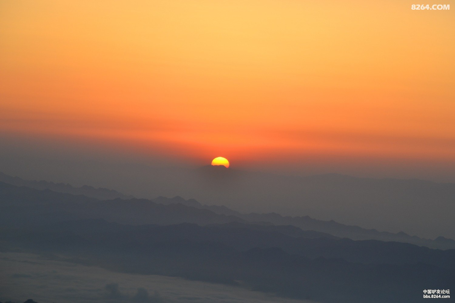 DSC_0475.JPG