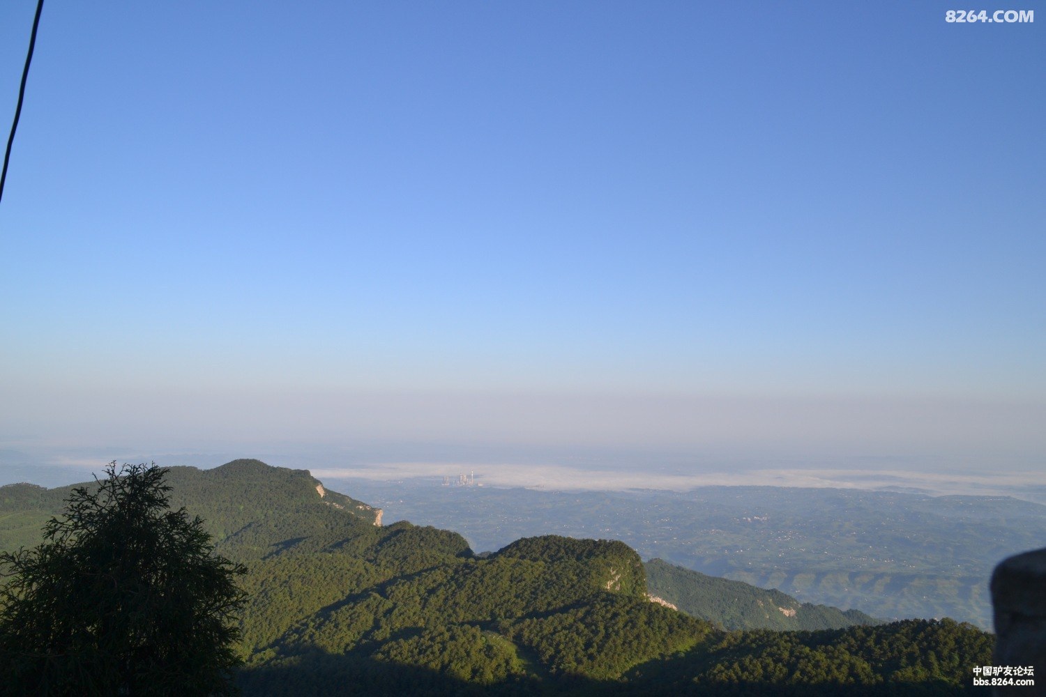 DSC_0502.JPG