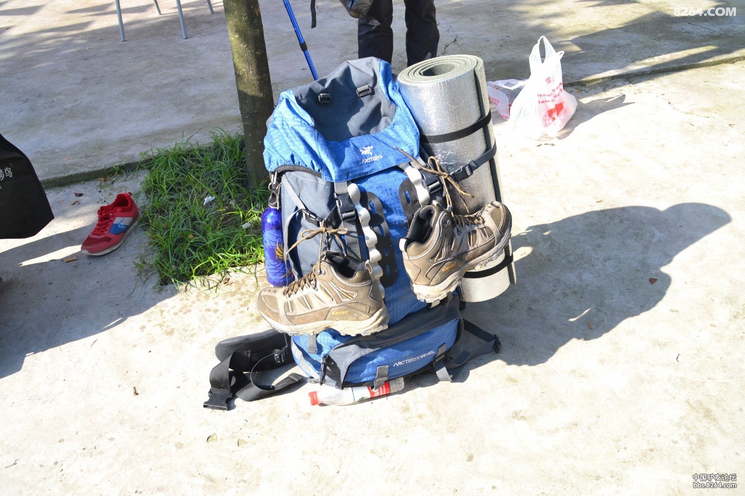 DSC_0664.JPG