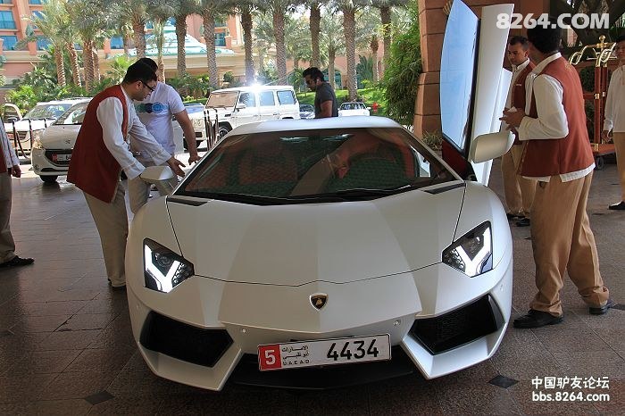 IMG_1236_nEO_IMG.jpg