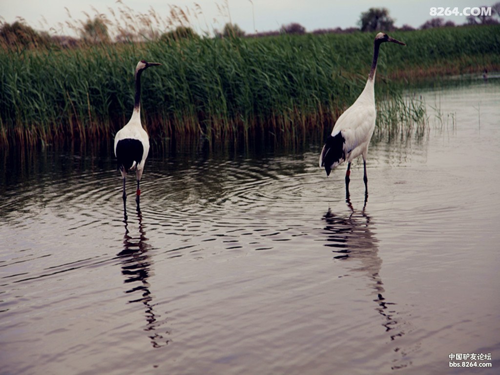 IMG_4452_副本.jpg