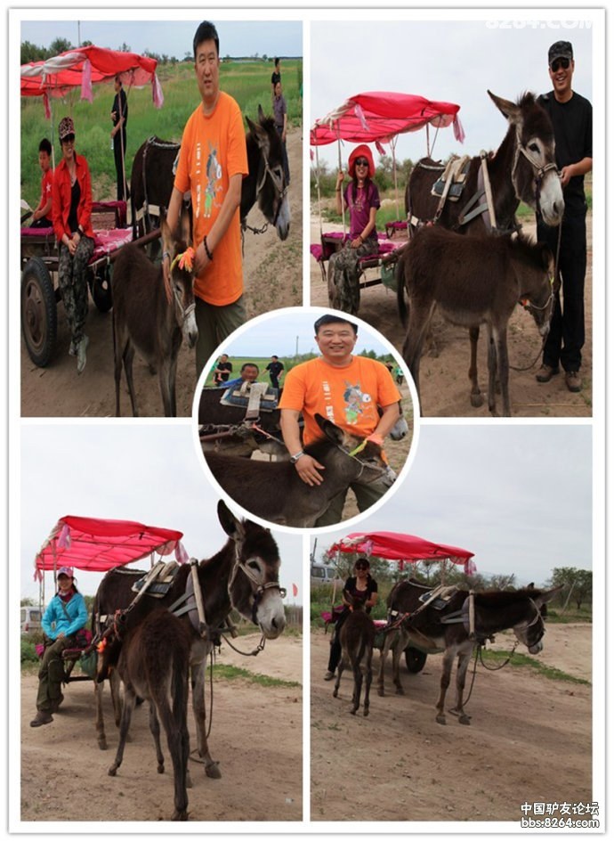4e61a04dtdf08cb3c75c9&690.jpg