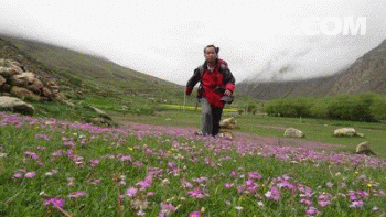 花草地走.gif