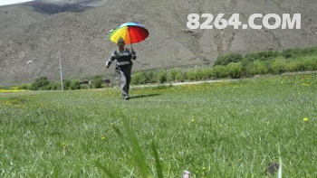 伞草地跨.gif
