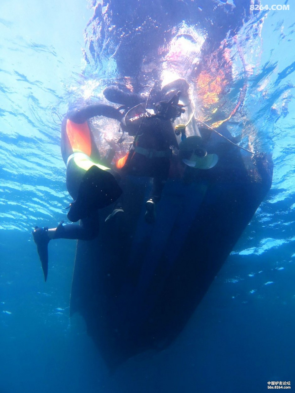 6月30日三亚后海船潜随拍小丑鱼,狮子鱼,傻瓜鱼和软珊瑚