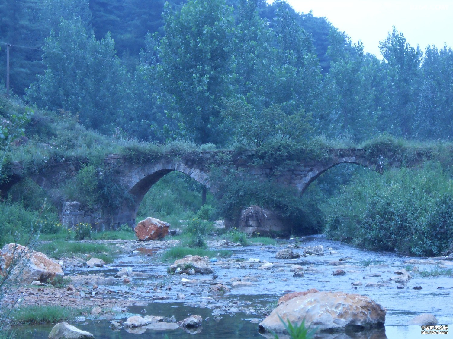 մſ 041.jpg