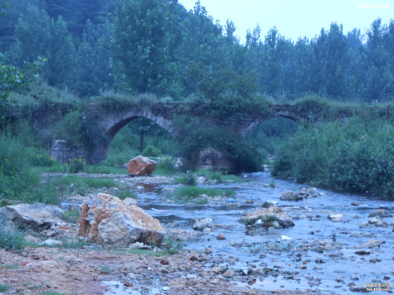 մſ 039.jpg