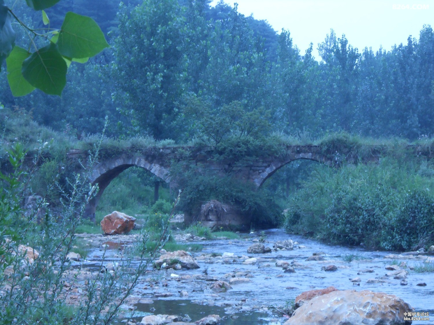 մſ 040.jpg
