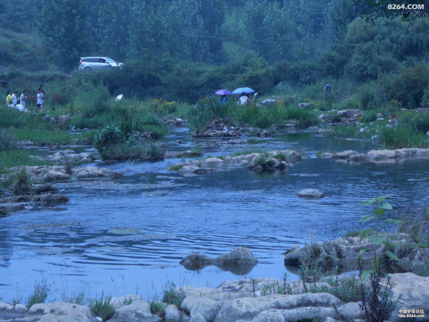 մſ 027.jpg