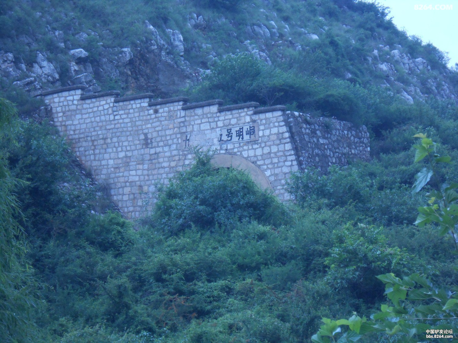 մſ 113.jpg