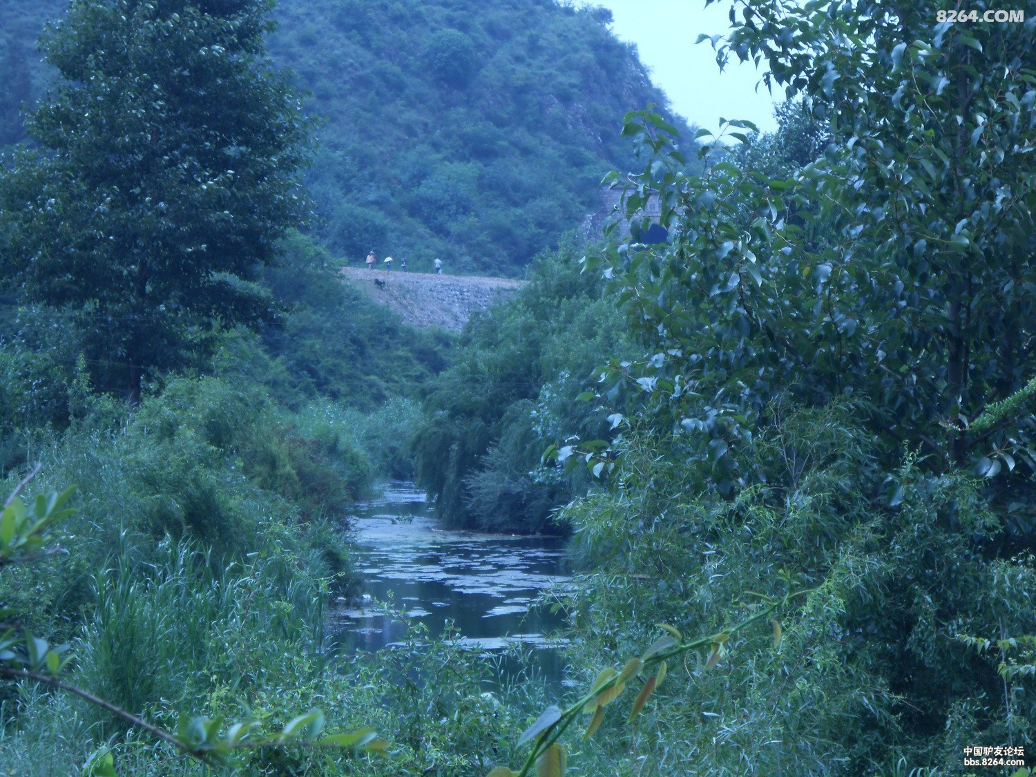 մſ 117.jpg