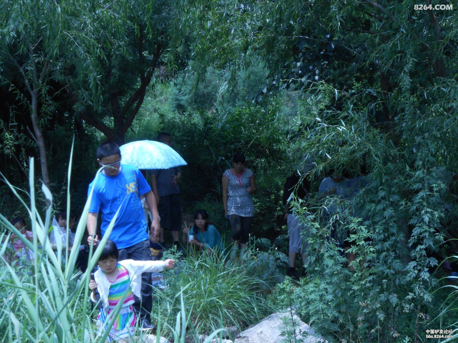մſ 122.jpg