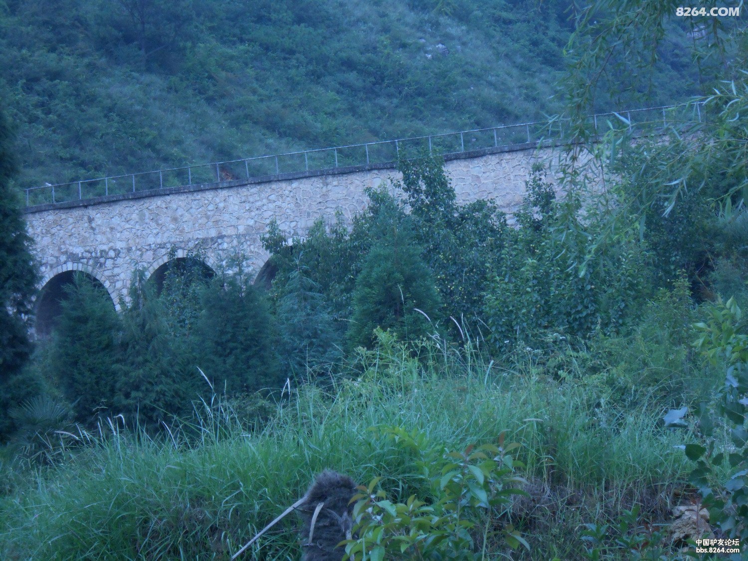 մſ 137.jpg