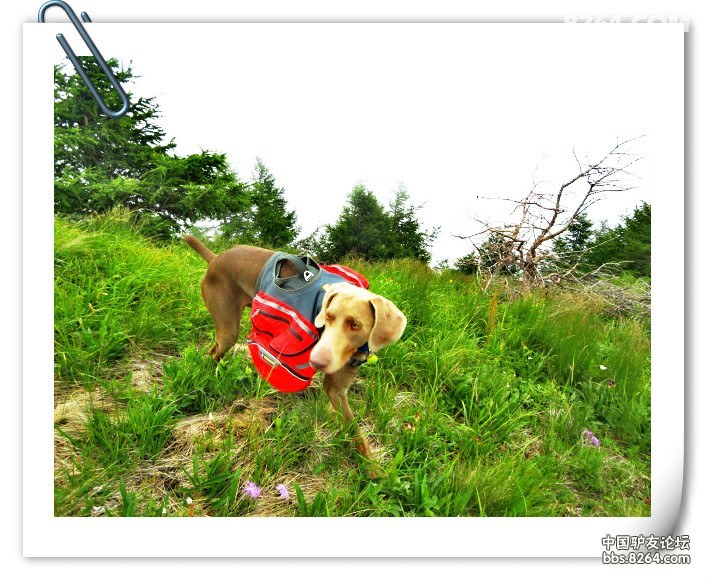 DSC05421_meitu_1.jpg