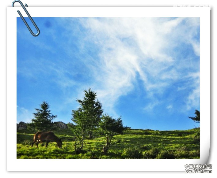 QQ图片20130716082616_meitu_1.jpg