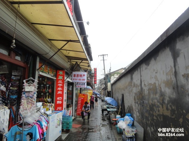 DSC05565.JPG
