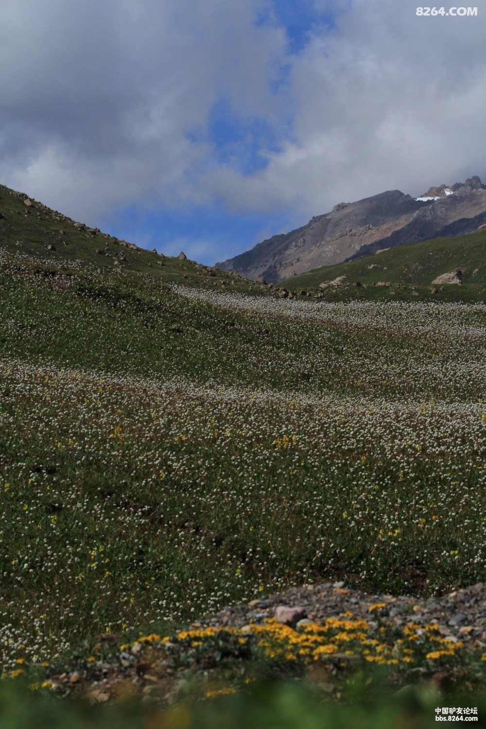 旋转 IMG_6878b.JPG