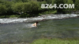 划水.gif