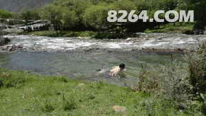 都戏水花.gif