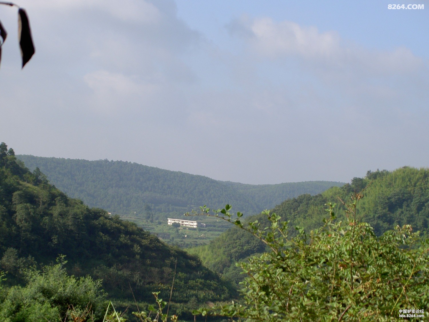 PICT9740.JPG
