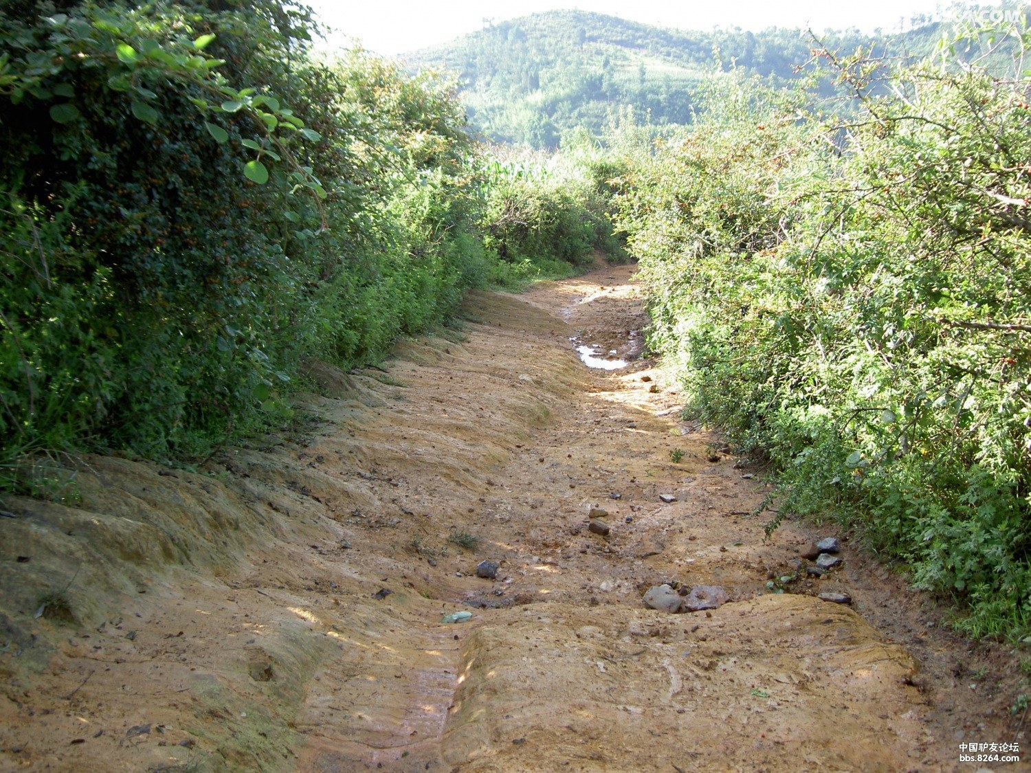 PICT9741.JPG