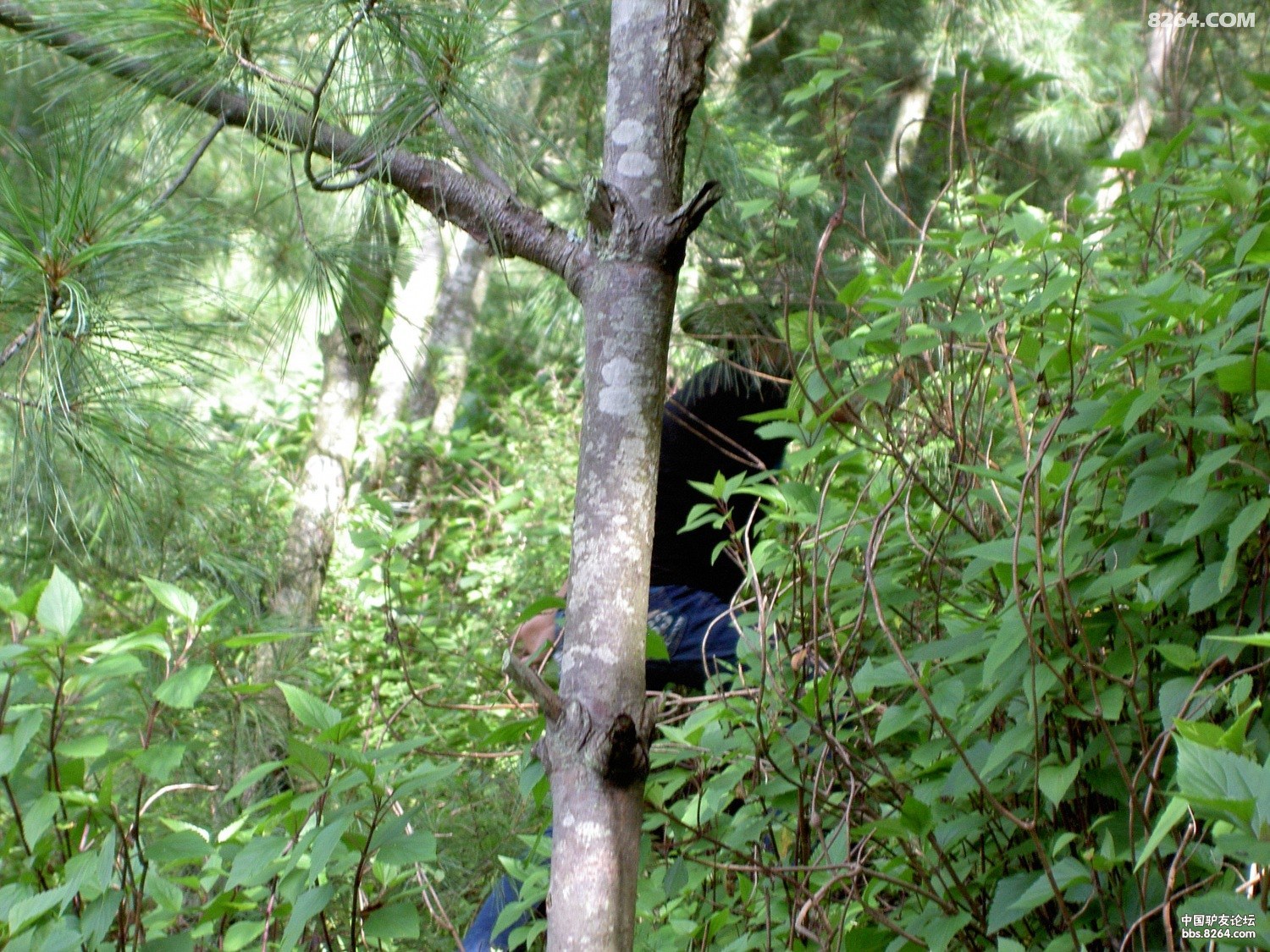 PICT9743.JPG