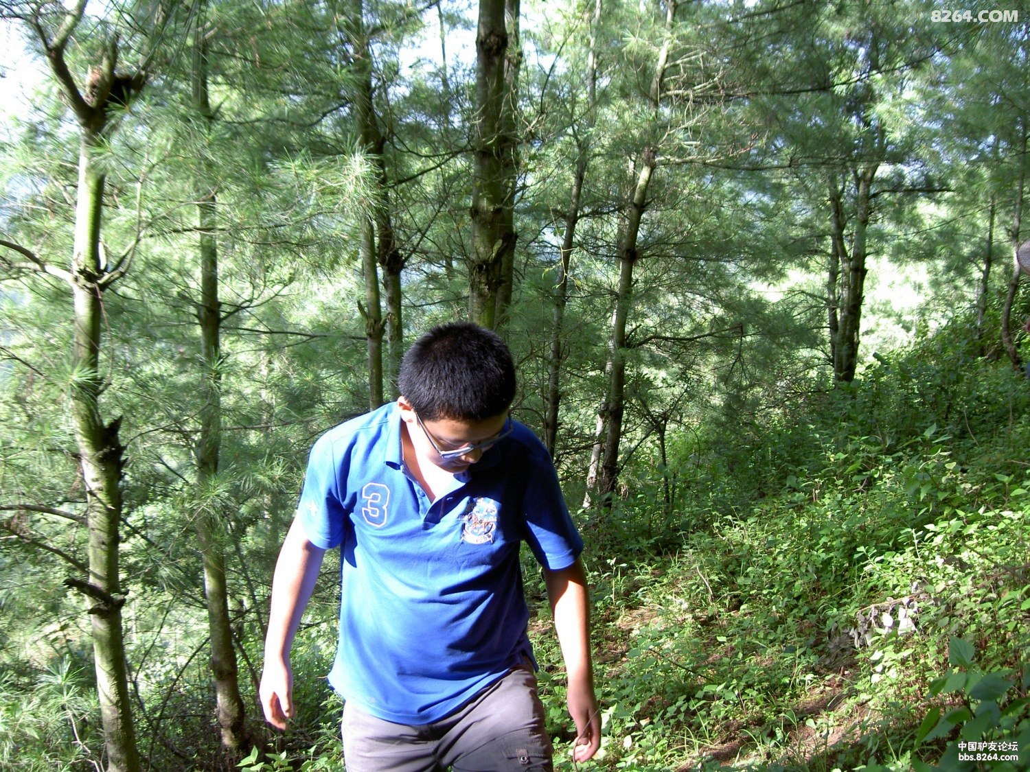 PICT9745.JPG