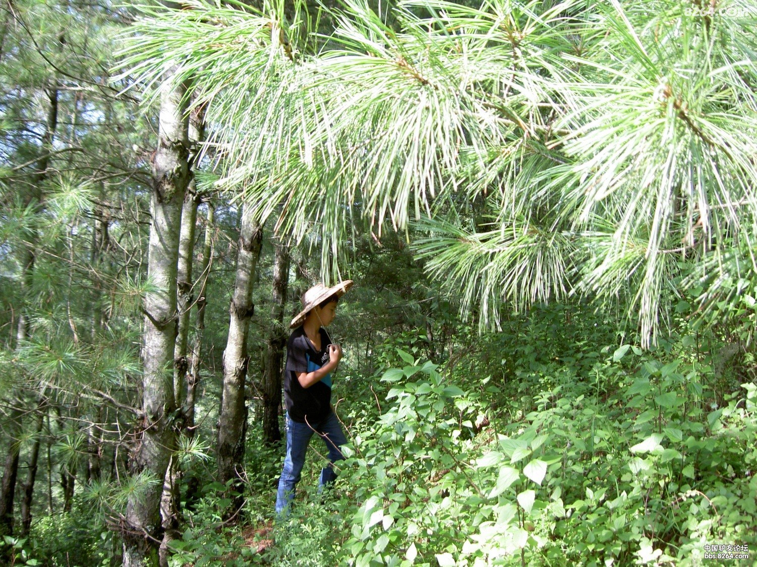 PICT9749.JPG