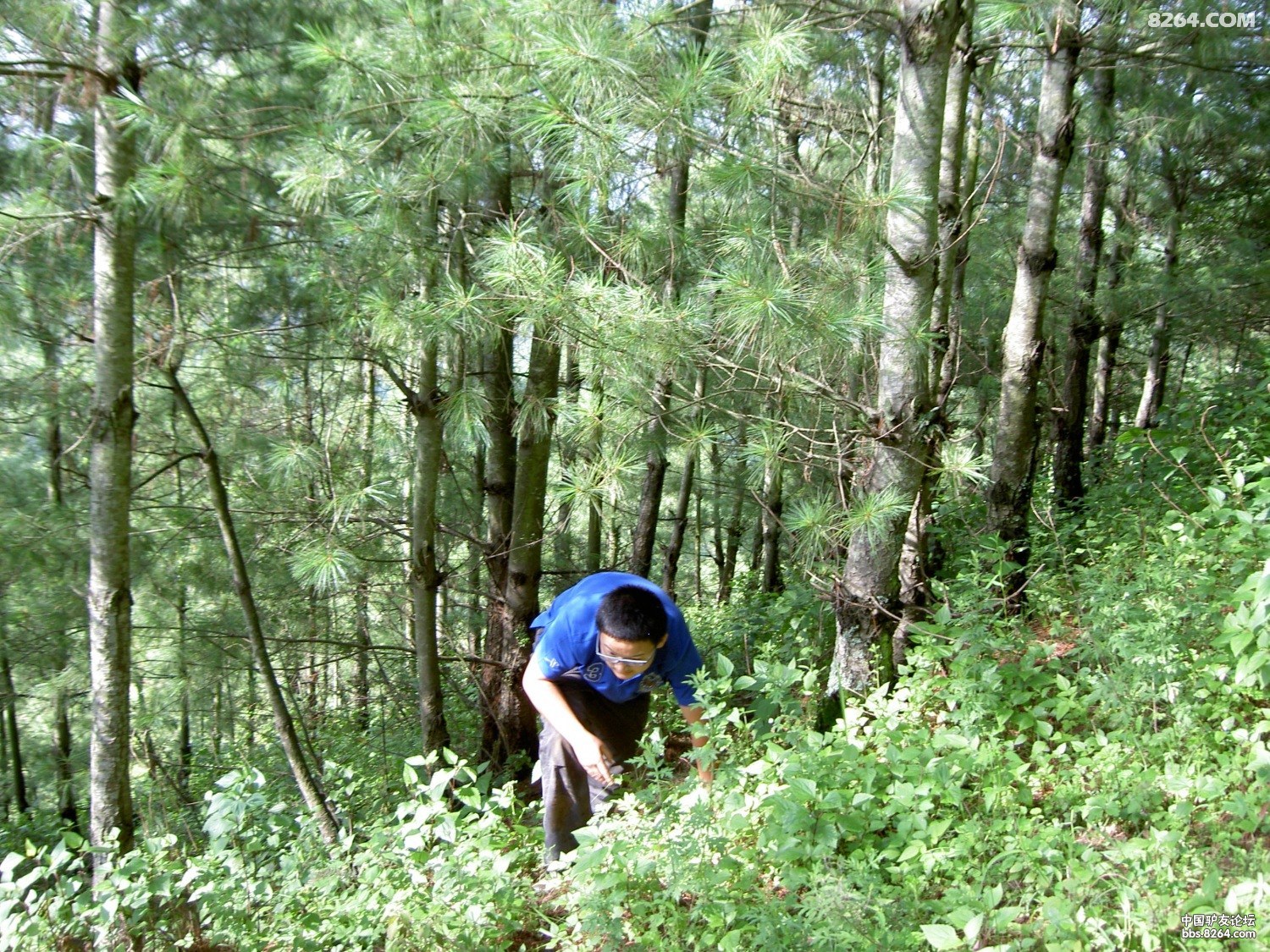 PICT9750.JPG