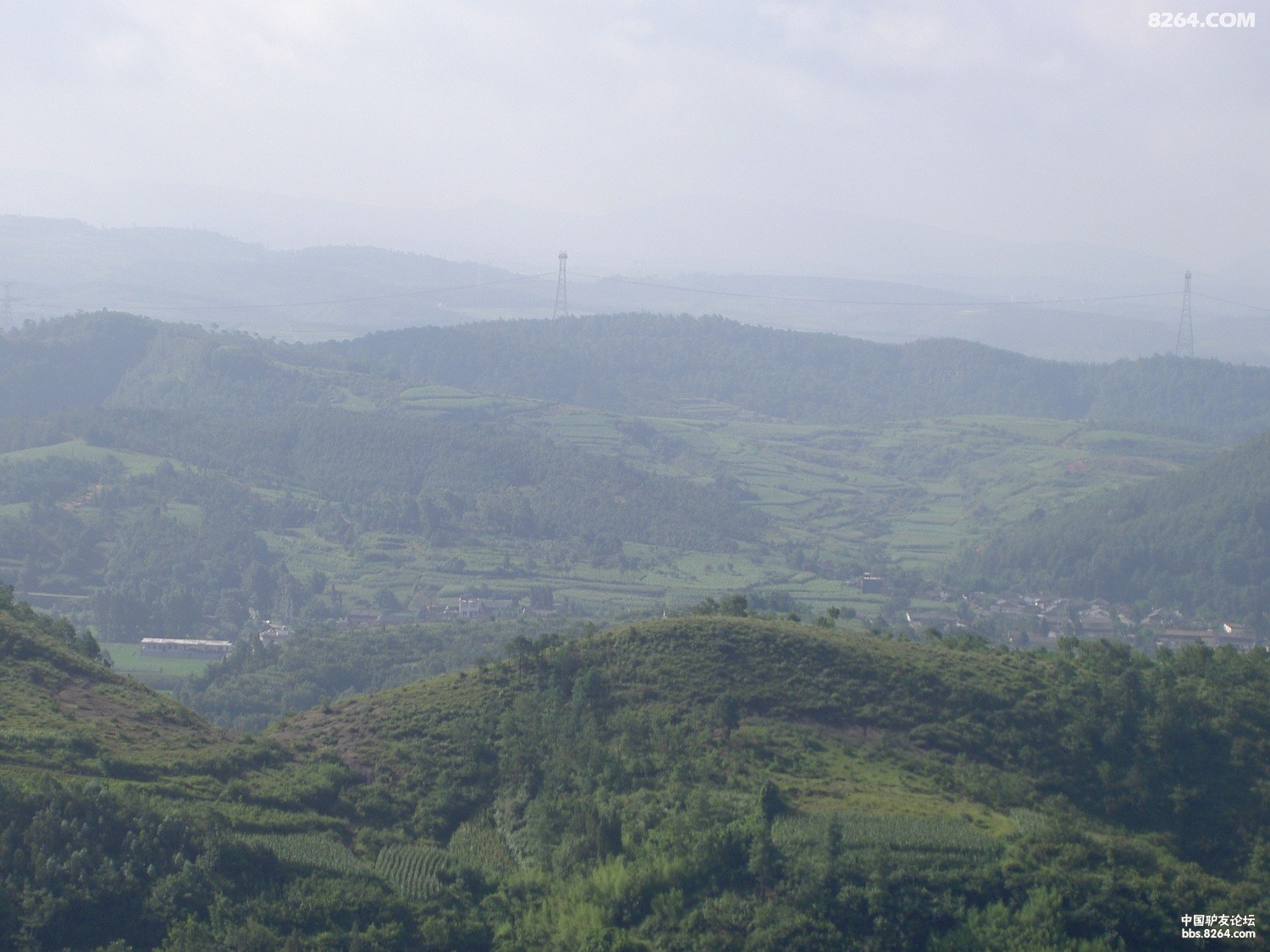 PICT9753.JPG