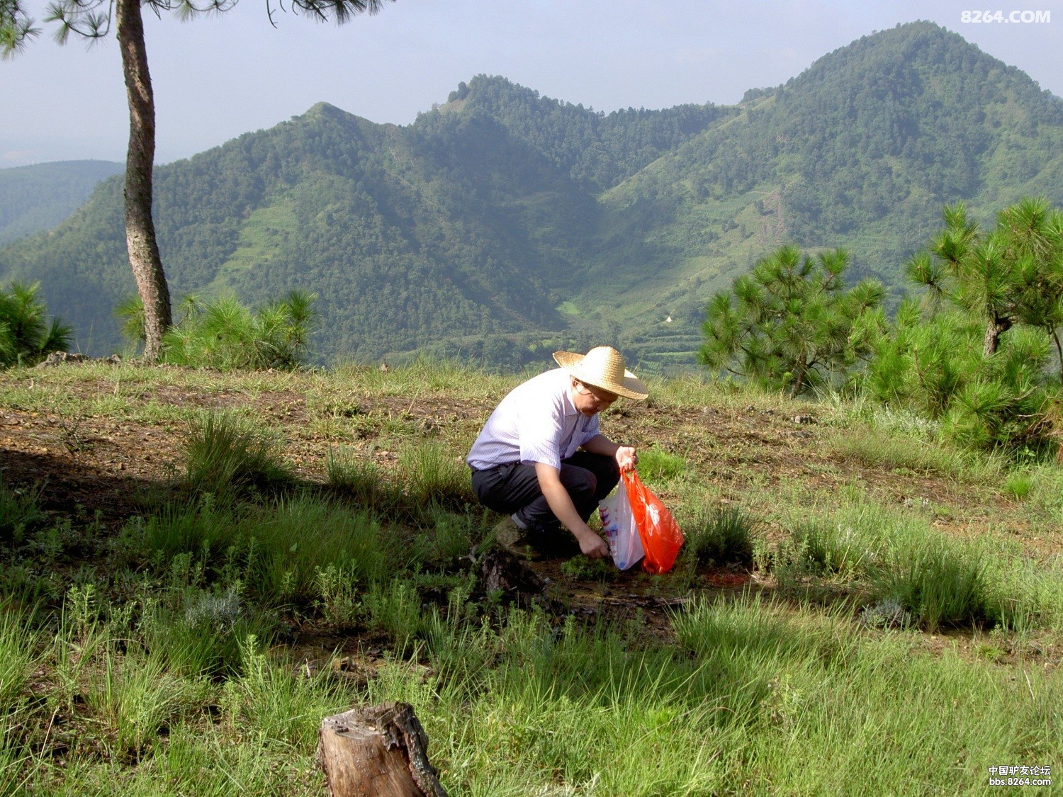 PICT9777.JPG