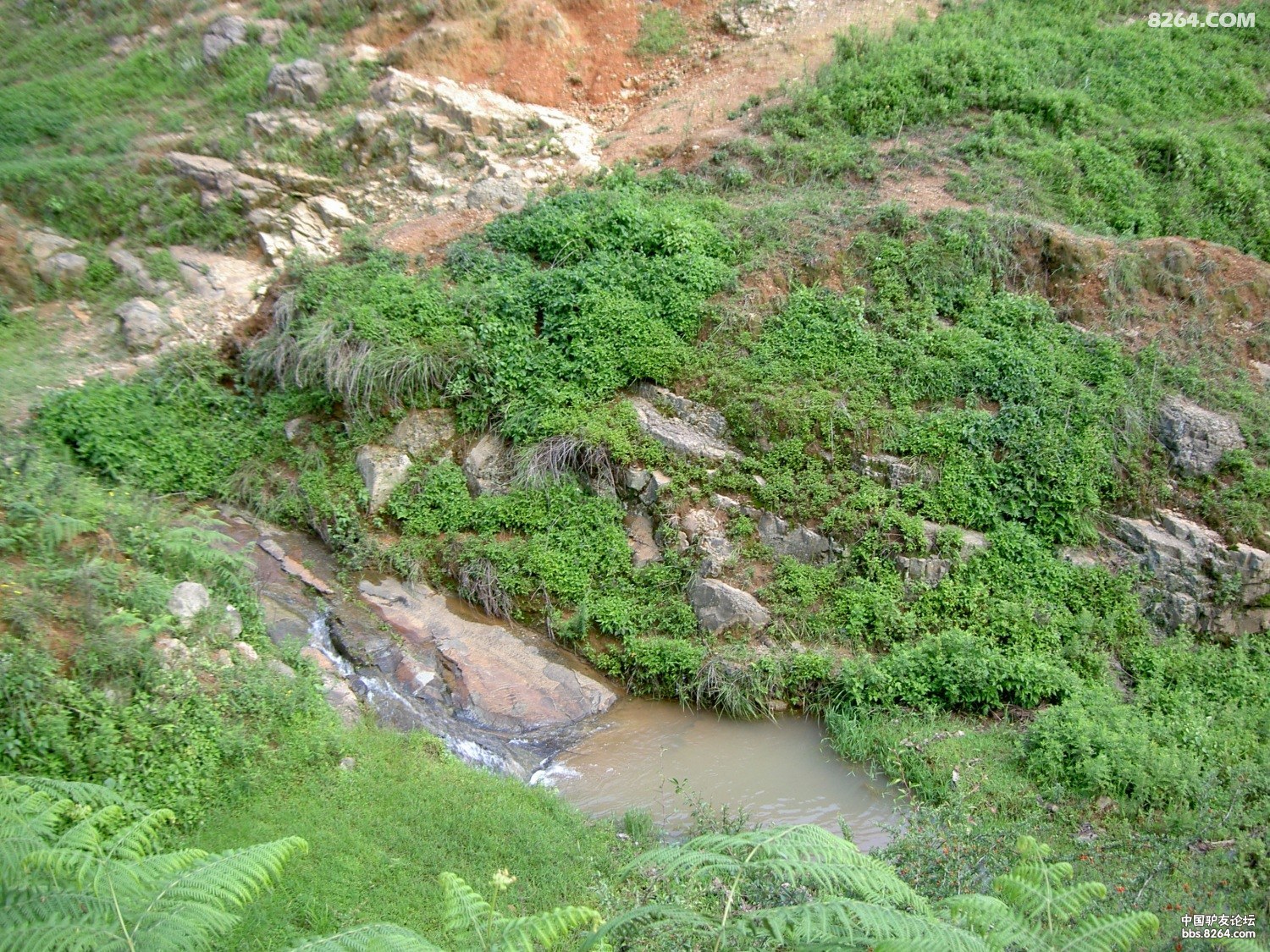 PICT9900.JPG