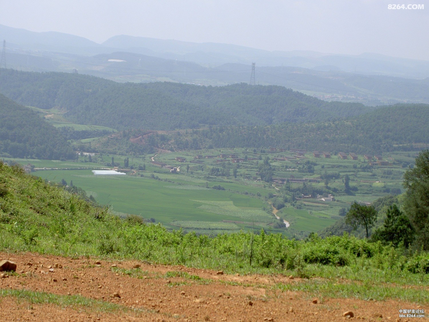 PICT9914.JPG