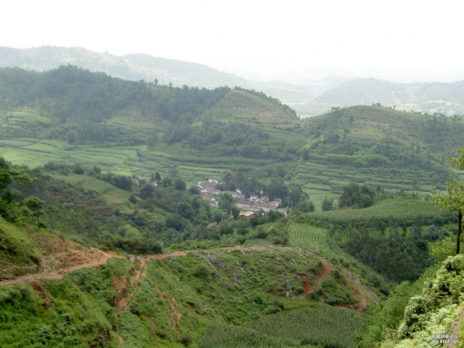 PICT9918.JPG