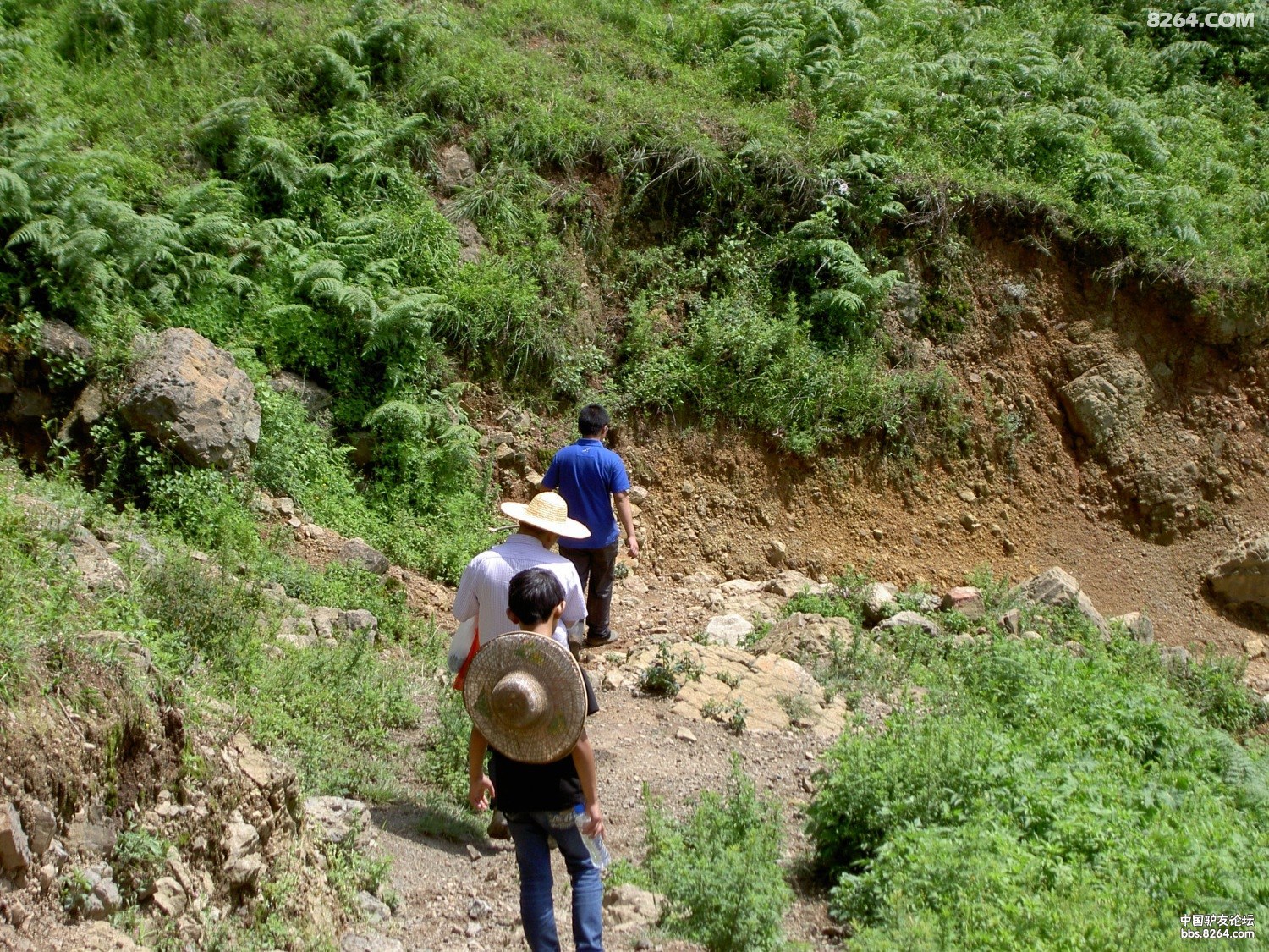 PICT9920.JPG