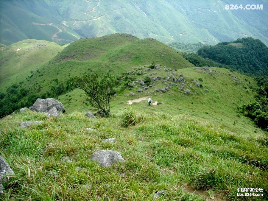 你是如此的难以忘记新兴天露山水源山一天暴走不了情