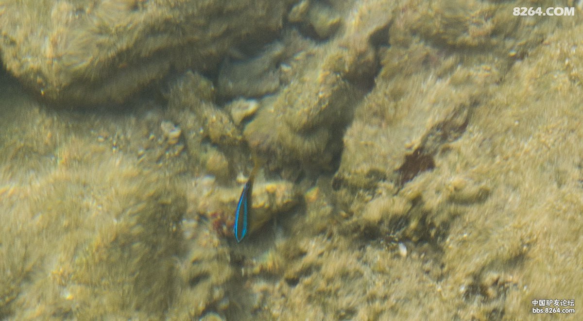 P1040130.jpg