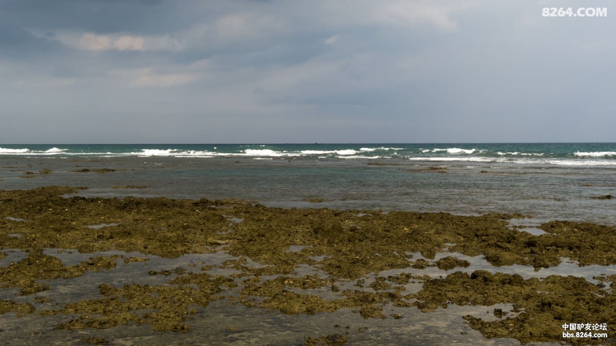 P1040134.jpg