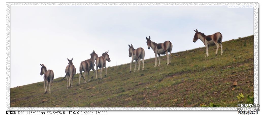 DSC_1436.jpg